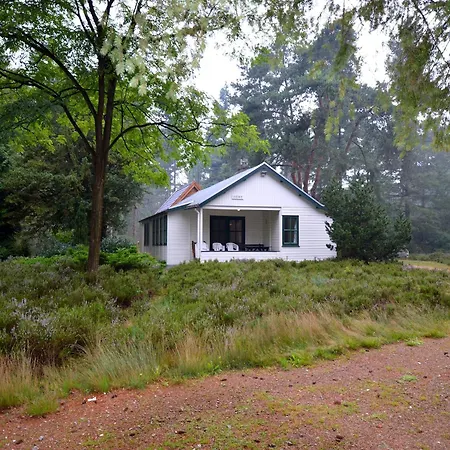 Holiday home In Near Forest, Cleaning Included