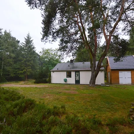 In Near Forest, Cleaning Included *