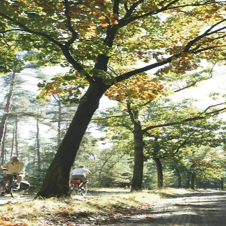 In Near Forest, Cleaning Included *