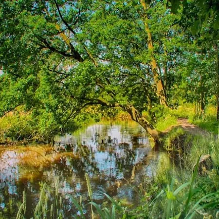 In Near Forest, Cleaning Included Maarheeze