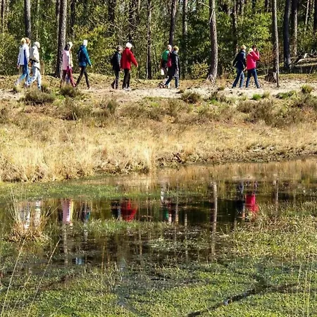 In Near Forest, Cleaning Included Holiday home