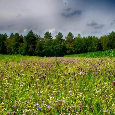 In Near Forest, Cleaning Included Maarheeze