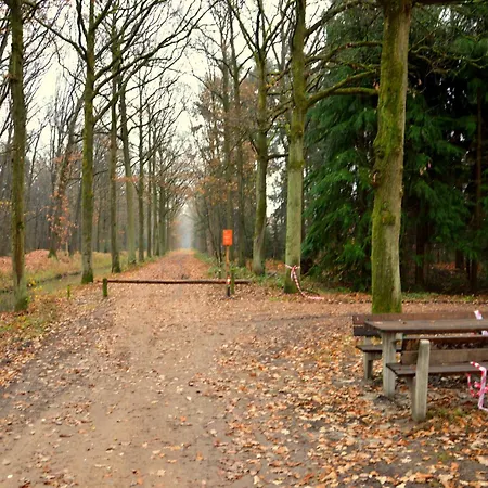 In Near Forest, Cleaning Included