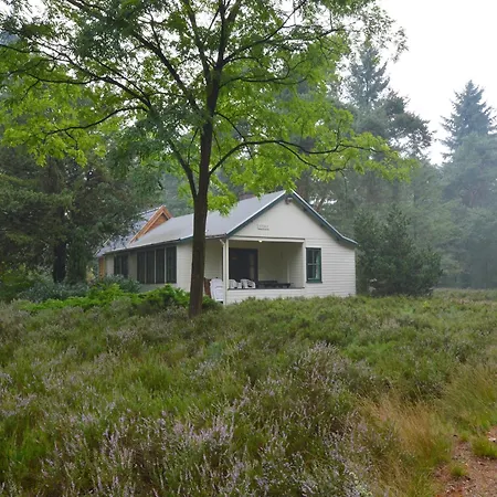 Holiday home In Near Forest, Cleaning Included