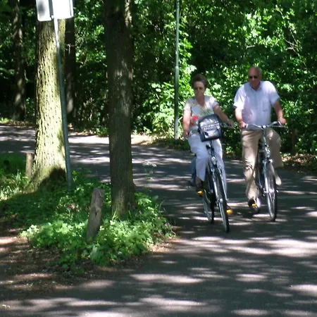 In Near Forest, Cleaning Included Maarheeze
