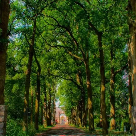 In Near Forest, Cleaning Included * Maarheeze