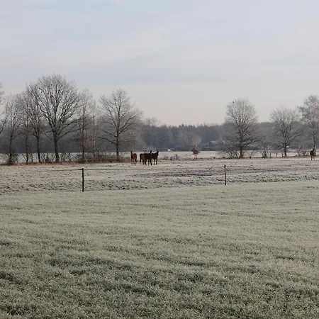 Holiday home In Near Forest, Cleaning Included Maarheeze