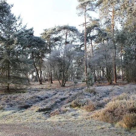 In Near Forest, Cleaning Included Holiday home